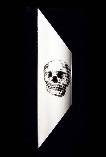 ANAMORPHOTIC SKULL 2