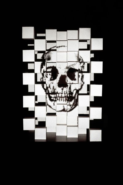 SKULL INSTALLATION